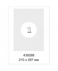 Этикетки самоклеящиеся Promega label Серебристые, 210x297мм,А4, 20л.уп.