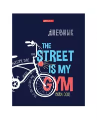 Дневник 1-11 класс, 40 л., твердый, BRAUBERG, глянцевая ламинация, "Молодежный", 105552