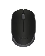 Мышь беспроводная LOGITECH M171, 2 кнопки + 1 колесо-кнопка, оптическая, черная, 910-004424