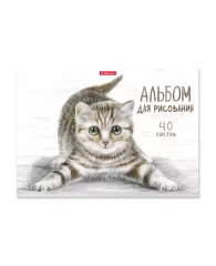 Альбом для рисования А4 40л ErichKrause® Tabby