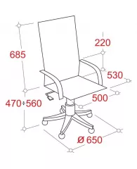 Кресло BN_Dt_Руководителя Echair-541 TL кожа черная, хром