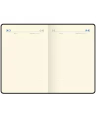 Ежедневник недатир. A5, 160л., кожзам, Berlingo "xGold", зол. срез, коричневый