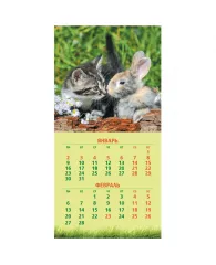 Календарь настенный перекидной на скрепке, Hatber "Год Кота и Кролика", 30*30 6 л., 2023г.
