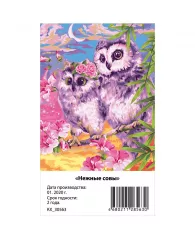 Картина по номерам Greenwich Line "Нежные совы", 40*50см, с акриловыми красками, холст