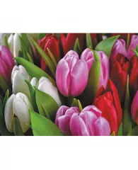 Календарь настенный 3-х блочный ТРИО СТАНДАРТ на 2023 год Букет тюльпанов