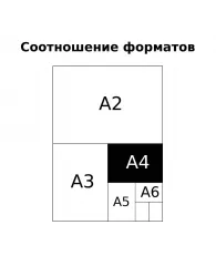 Тетрадь 80л., А4, линия BG "Следуй своим желаниям"