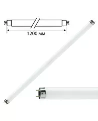 Лампа люминесцентная PHILIPS TL-D 36W/33-640, 36 Вт, цоколь G13, в виде трубки 120 см