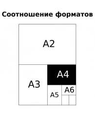 Тетрадь 80л., А4, клетка BG "Invisible", матовая ламинация