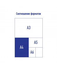 Папка 5 отделений Berlingo "Haze", А4, 600мкм, на кнопке, сиреневая, софт-тач