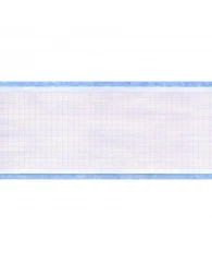 Лента тепловой регистрации Медицина для ЭКГ 80x30 (в)